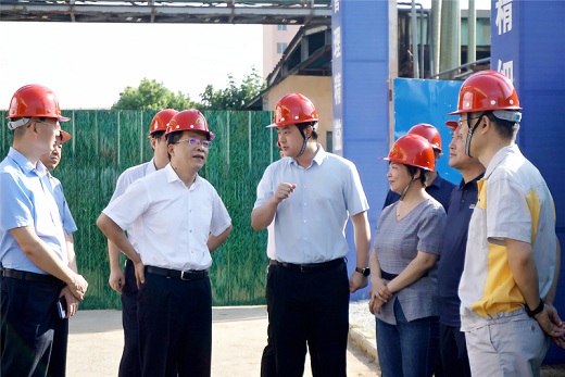 丁純來安納達督導環保項目建設